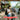 Balisim Trustpilot Reviews : Real Customer Experiences