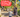 Is It Worth Getting a SIM Card in Bali?